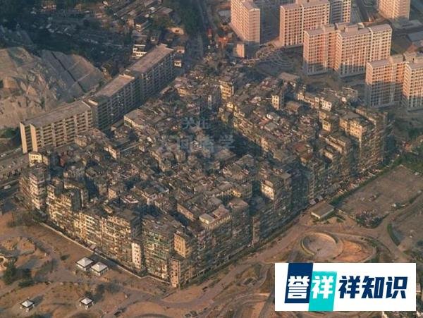 五一档动作爽片《九龙城寨之围城》，我愿称之为近几年最纯正港片！强烈推荐！
