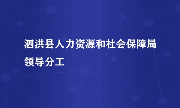 泗洪县人力资源和社会保障局领导分工