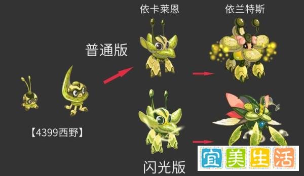 赛尔号：公认09年草系精灵王，综合战力第一！需要指定套装捕捉！