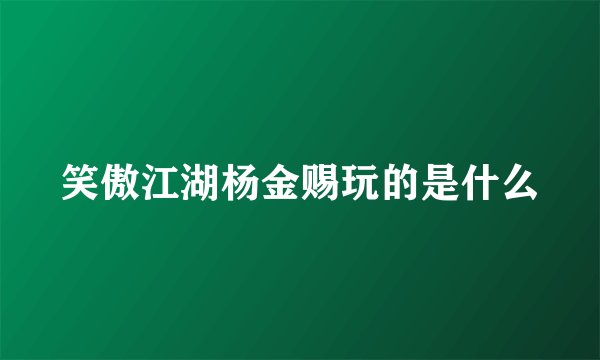 笑傲江湖杨金赐玩的是什么