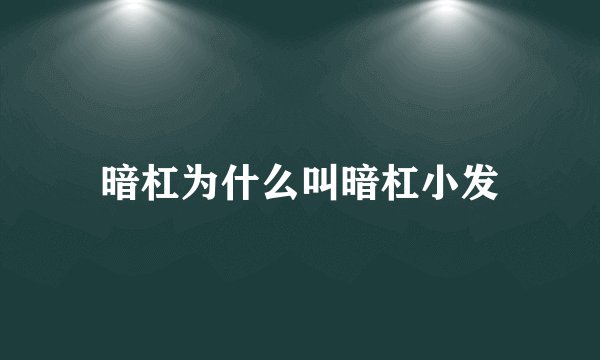 暗杠为什么叫暗杠小发