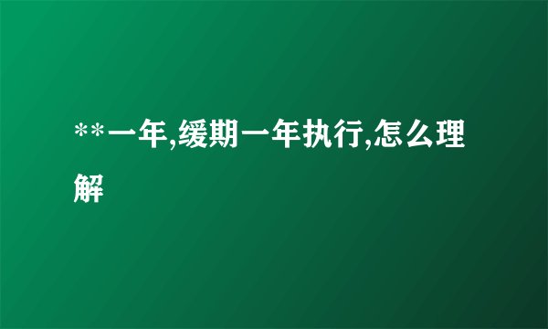 **一年,缓期一年执行,怎么理解