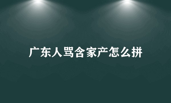 广东人骂含家产怎么拼