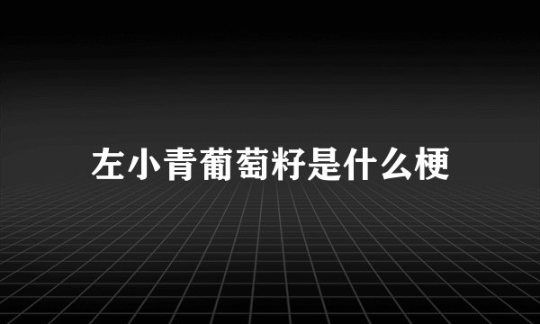 左小青葡萄籽是什么梗