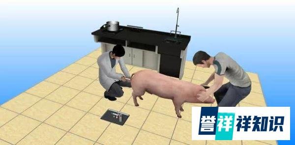 让座院士走红!其实20年前他已经火了一把