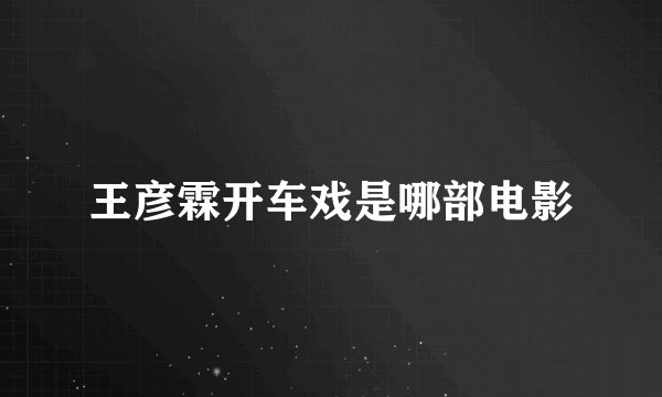 王彦霖开车戏是哪部电影