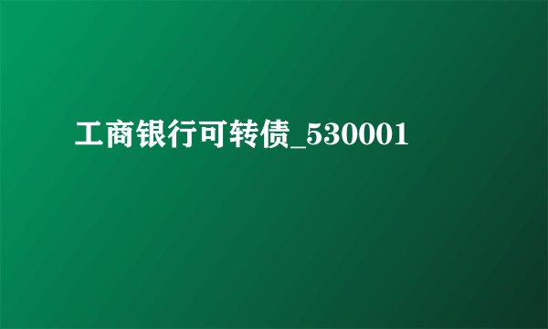 工商银行可转债_530001