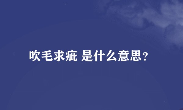 吹毛求疵 是什么意思？