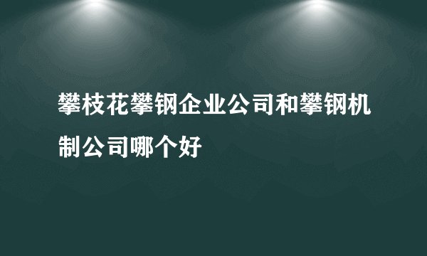 攀枝花攀钢企业公司和攀钢机制公司哪个好