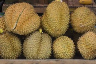 男子偷2个榴莲被抓,称太香没忍住,如何看待他的做法呢?