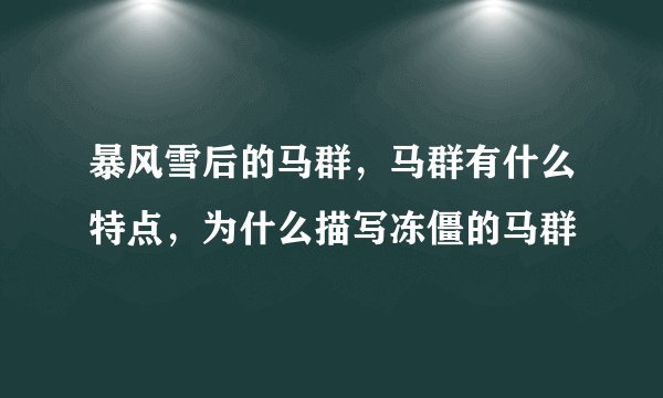 暴风雪后的马群，马群有什么特点，为什么描写冻僵的马群