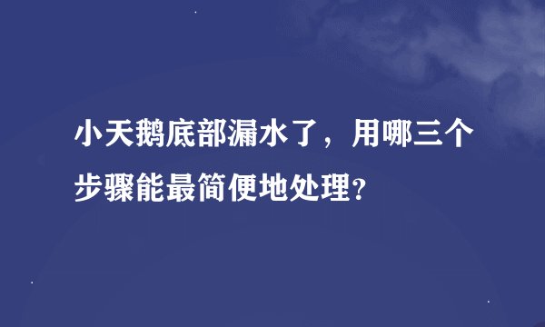 小天鹅底部漏水了，用哪三个步骤能最简便地处理？