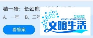 长颈鹿可以多久不喝水？蚂蚁庄园11.19答案