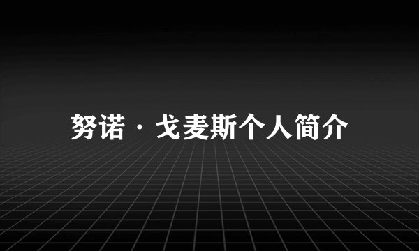 努诺·戈麦斯个人简介