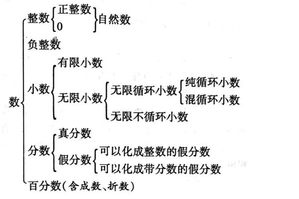 负数是不是自然数?
