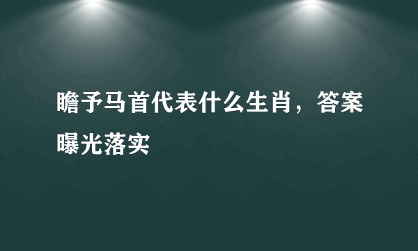 瞻予马首代表什么生肖，答案曝光落实