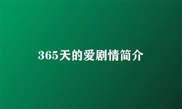 365天的爱剧情简介
