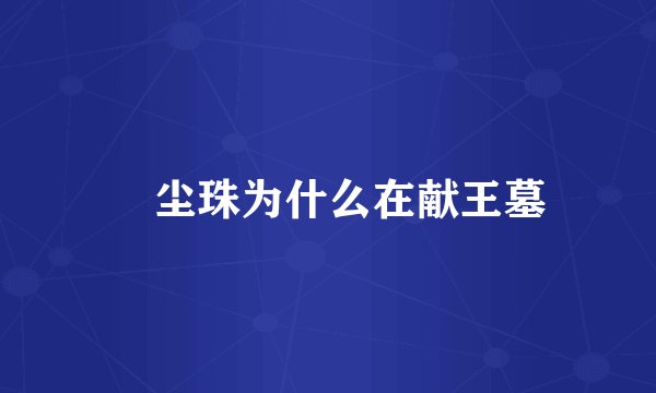 雮尘珠为什么在献王墓