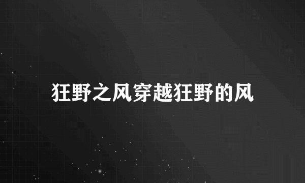 狂野之风穿越狂野的风