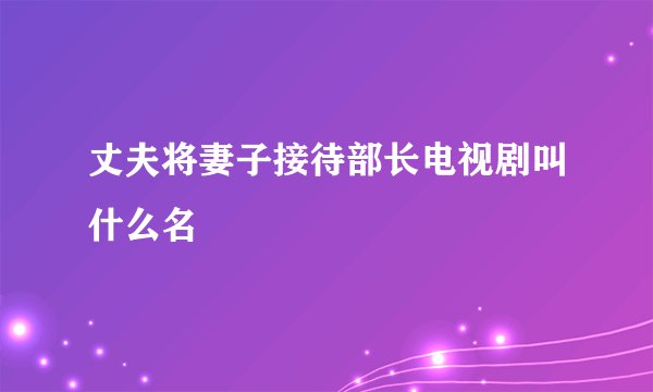 丈夫将妻子接待部长电视剧叫什么名