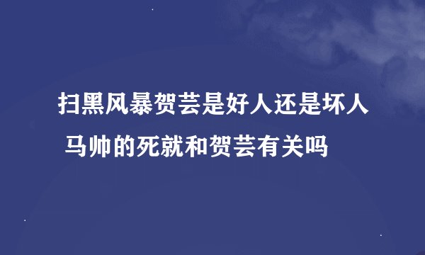 扫黑风暴贺芸是好人还是坏人 马帅的死就和贺芸有关吗
