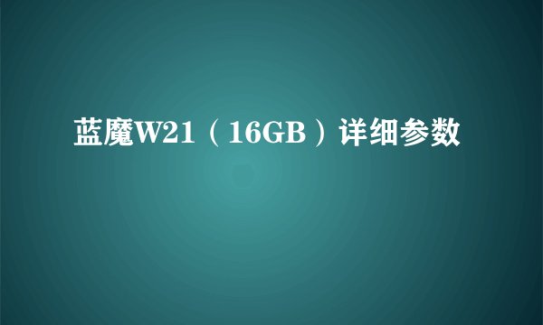 蓝魔W21（16GB）详细参数