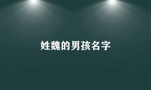 姓魏的男孩名字
