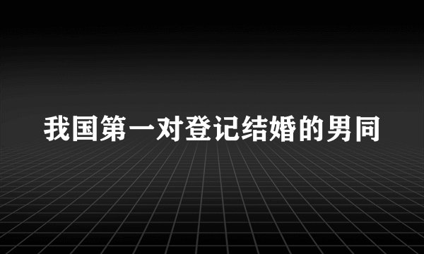 我国第一对登记结婚的男同