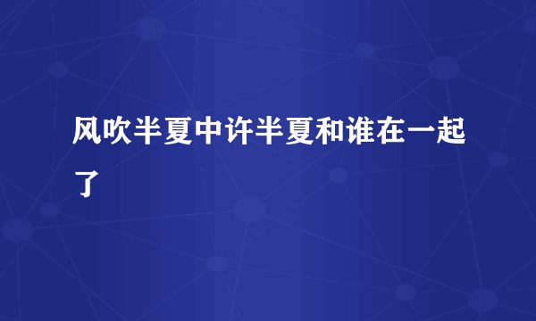 风吹半夏中许半夏和谁在一起了
