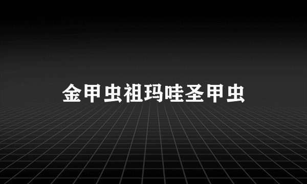 金甲虫祖玛哇圣甲虫