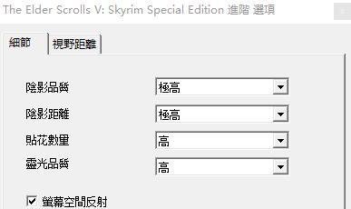 上古卷轴5:天际重置版画面设置