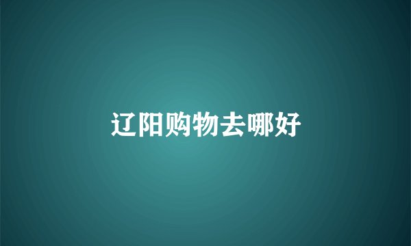 辽阳购物去哪好