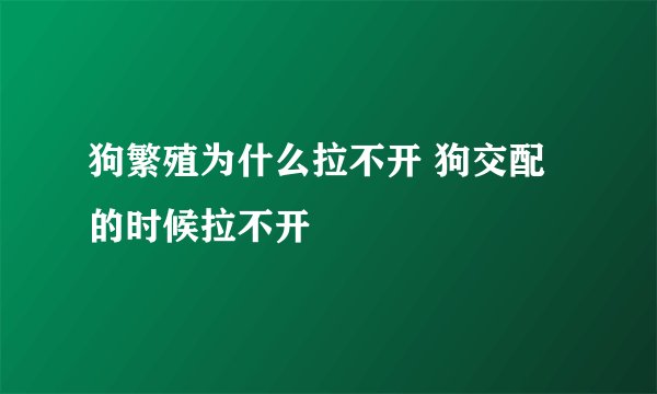 狗繁殖为什么拉不开 狗交配的时候拉不开