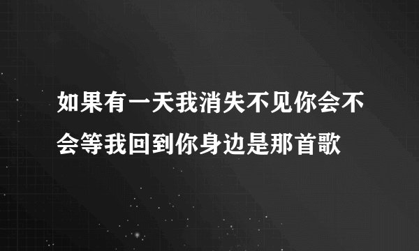 如果有一天我消失不见你会不会等我回到你身边是那首歌