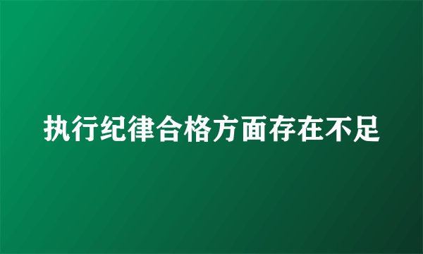 执行纪律合格方面存在不足