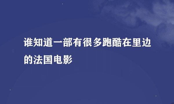 谁知道一部有很多跑酷在里边的法国电影