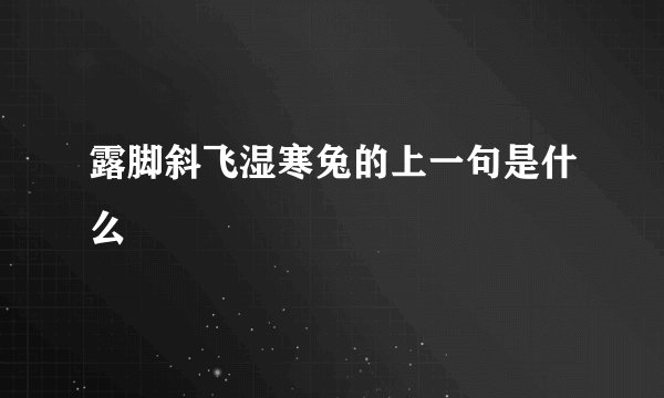 露脚斜飞湿寒兔的上一句是什么