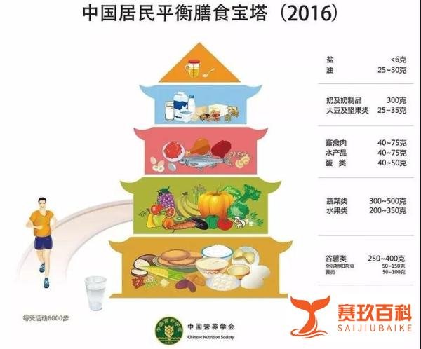 世界对“胖”的恶意，一直在上升！