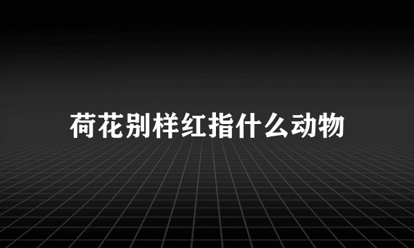 荷花别样红指什么动物
