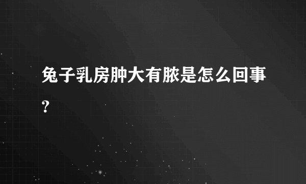 兔子乳房肿大有脓是怎么回事？