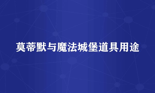 莫蒂默与魔法城堡道具用途