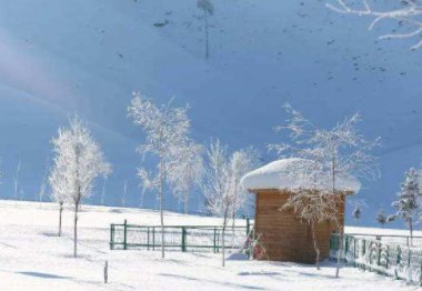 湖南16个县市区出现暴雪，此次冷空气对当地造成了什么影响？