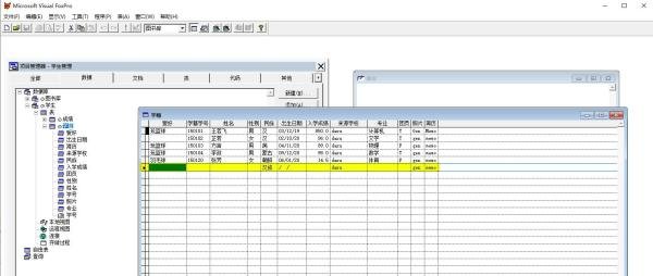 vf6.0给字段设置默认值
