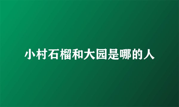 小村石榴和大园是哪的人