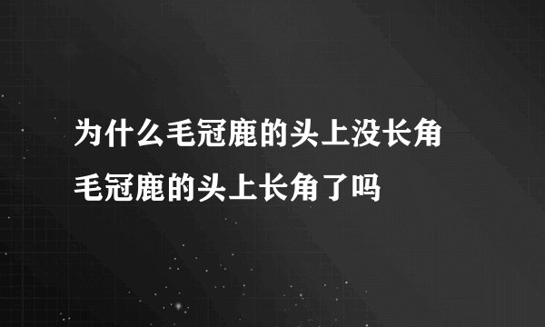 为什么毛冠鹿的头上没长角 毛冠鹿的头上长角了吗