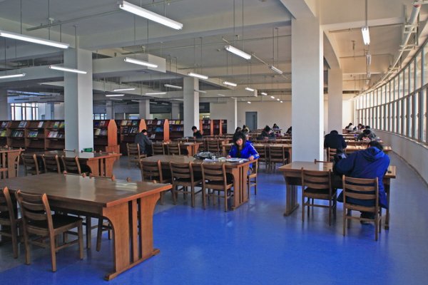 山东理工大学图书馆为什么排名那么高