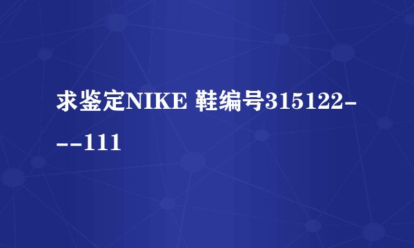 求鉴定NIKE 鞋编号315122---111