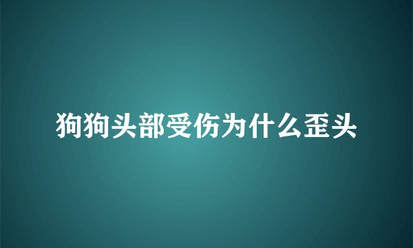 狗狗头部受伤为什么歪头