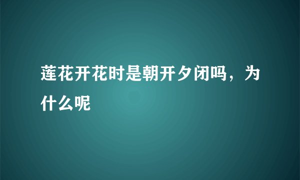 莲花开花时是朝开夕闭吗，为什么呢