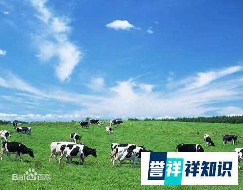 让座院士走红！其实20年前他已经火了一把